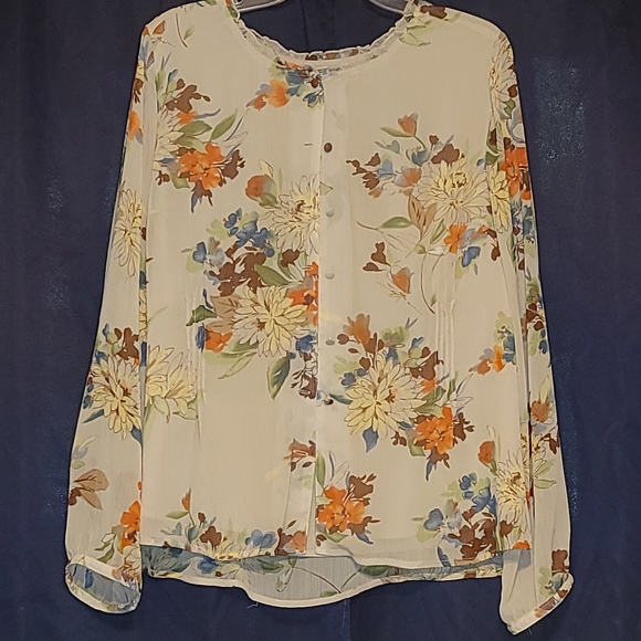 Sheer button down blouse - Picture 1 of 3